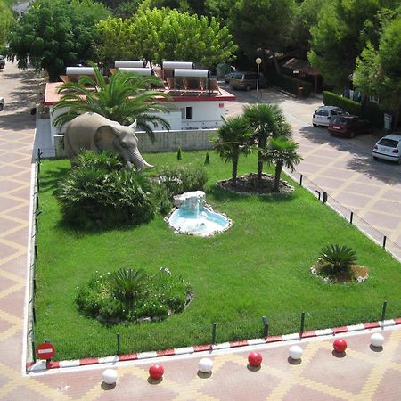 Camping L'Alqueria Gandía Exteriör bild