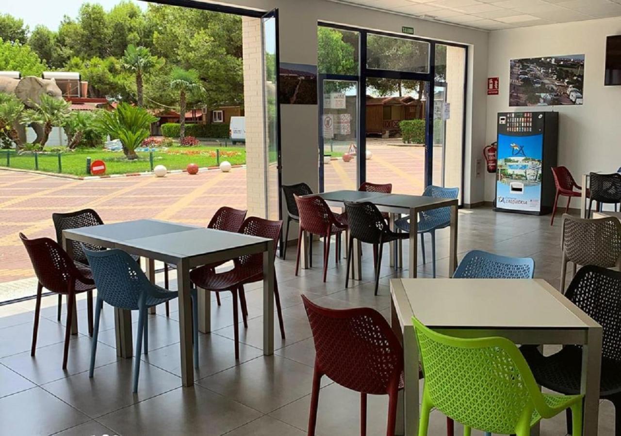 Camping L'Alqueria Gandía Exteriör bild
