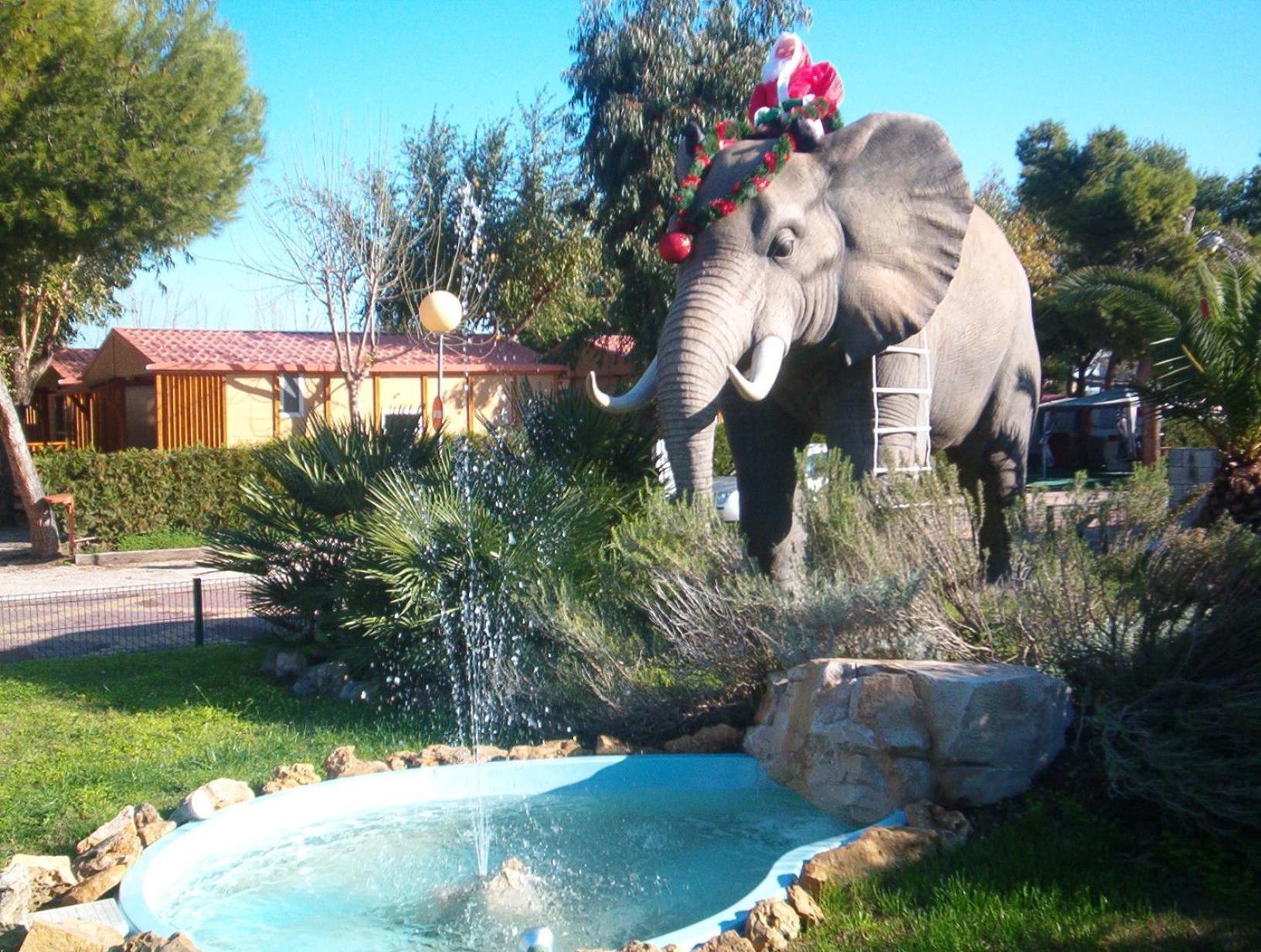 Camping L'Alqueria Gandía Exteriör bild